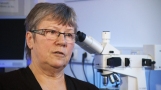 Link zur Internetseite der 3Sat-Mediathek mit einem Videobeitrag über Glyphosat (ein Interview von Frau Professor Monika Krüger